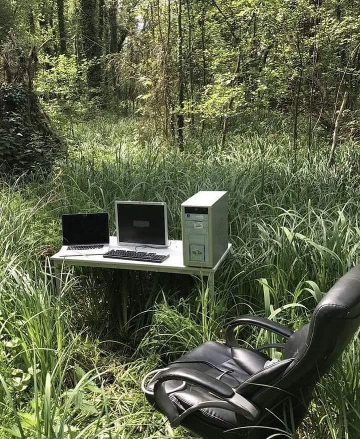 The meme is a humorous illustration of a person working remotely from a very unusual location. The image shows a desk and computer setup in the middle of a dense forest, with a chair and a laptop and computer monitor on a small table, surrounded by tall trees and overgrown vegetation. The text on the screen reads "I'm not lazy, I'm just on nature's schedule".